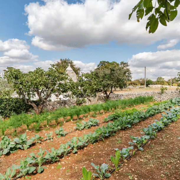 Screenshot 2026 03 17 at 22.24.52