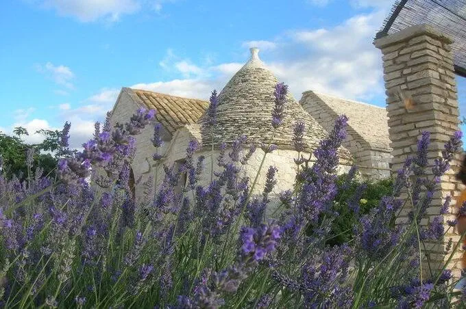 Dimora mastromarco trullo quercia (21)