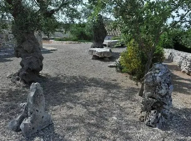 Edera garden (11) risultato