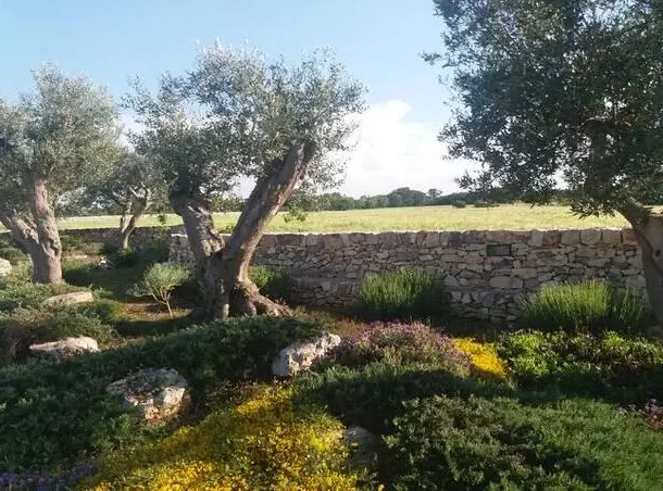 Edera garden (27) risultato