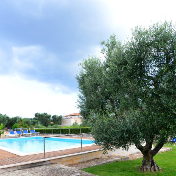 3 height pool with trampoline (1) (fileminimizer)