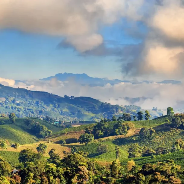 Laguna de Guatavita__risultato